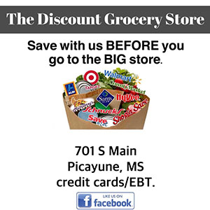 The Discount Grocery Store